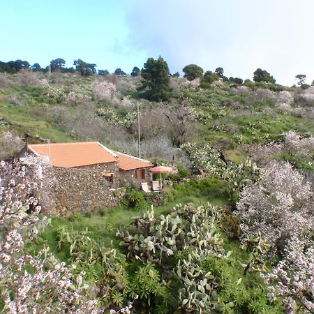 Casa Rural La Jarita ξενώνας El Pinar  Εξωτερικό φωτογραφία