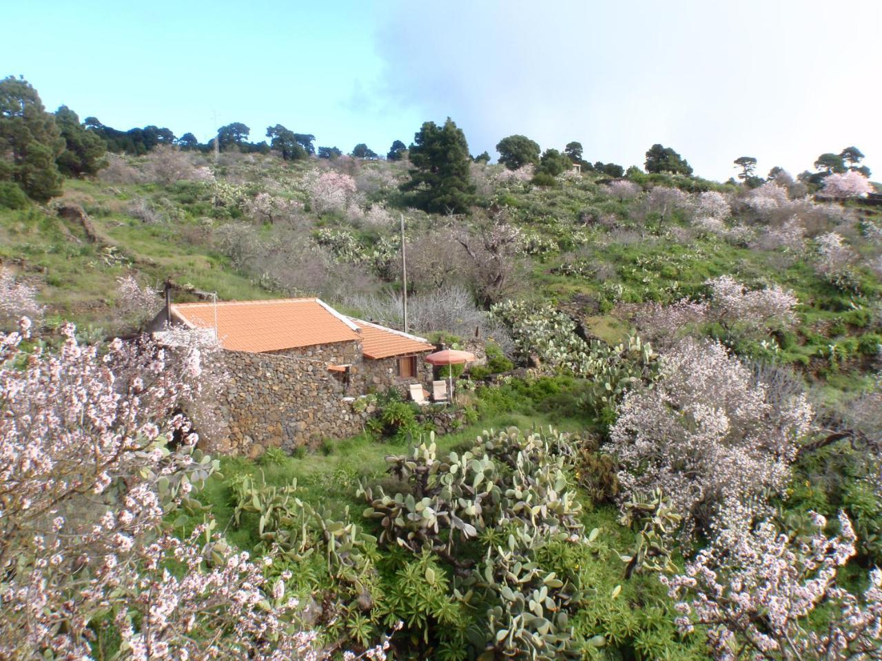 Casa Rural La Jarita ξενώνας El Pinar  Εξωτερικό φωτογραφία