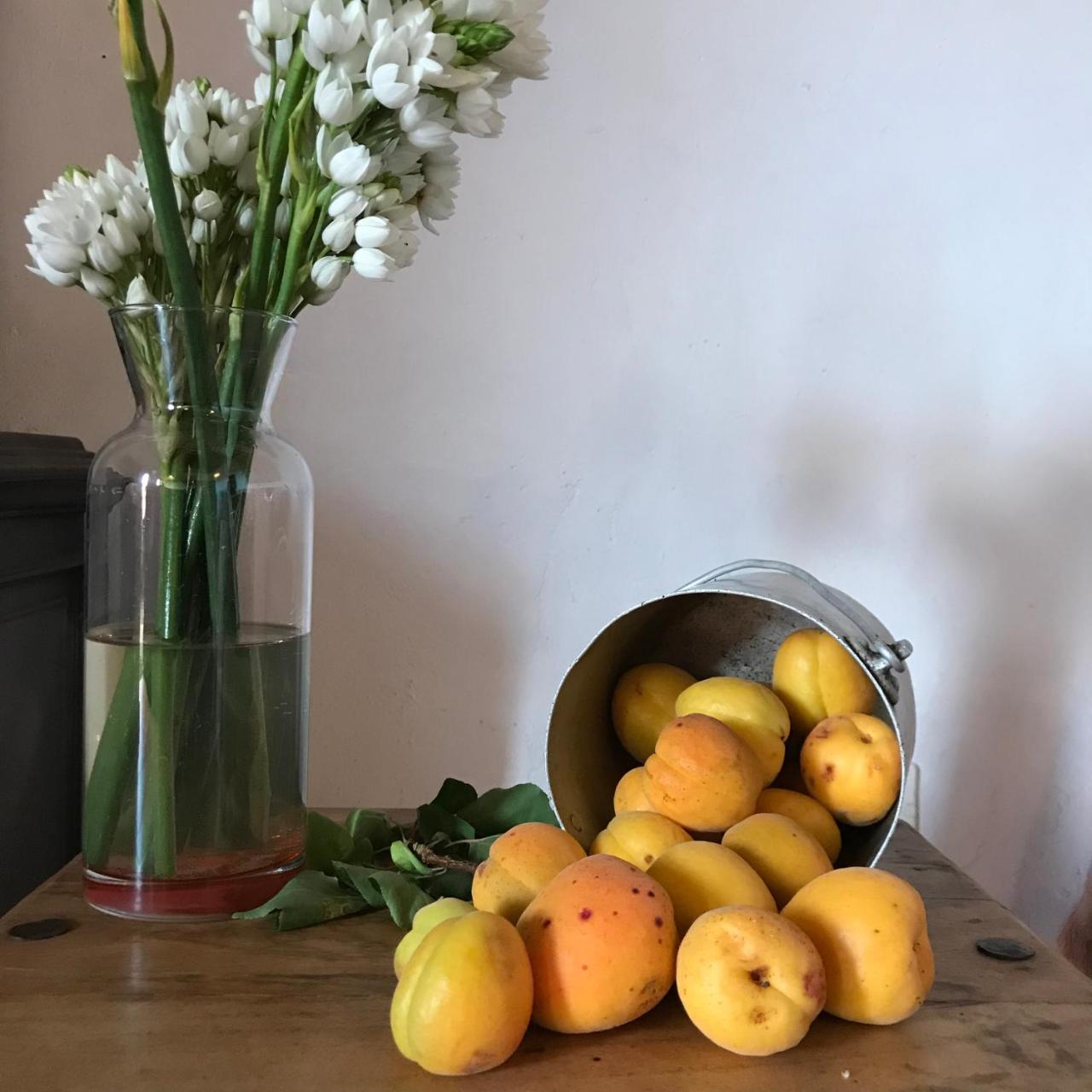 Casa Rural La Jarita ξενώνας El Pinar  Εξωτερικό φωτογραφία